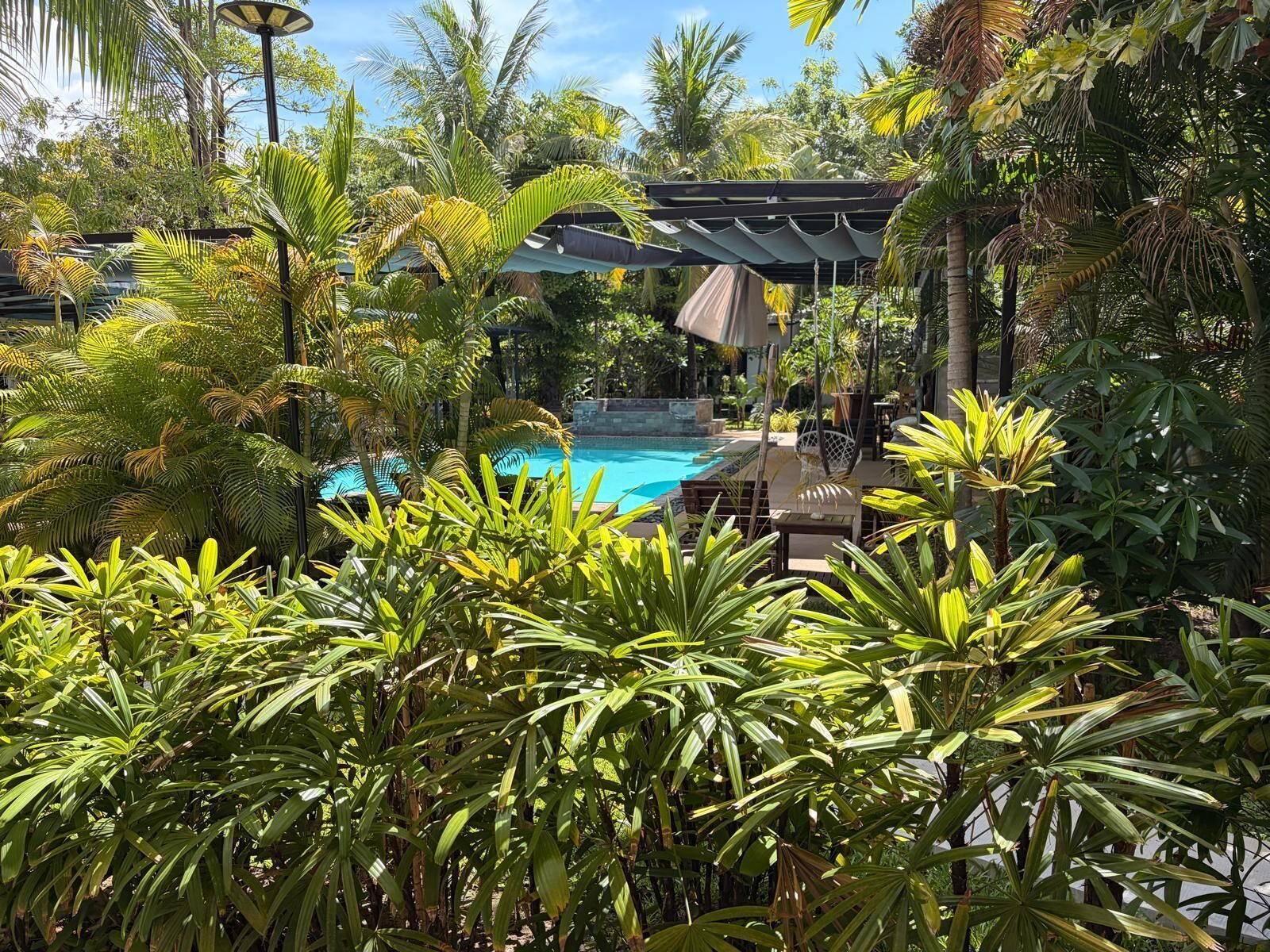 Una piscina rodeada de exuberante vegetación tropical y un área de estar techada.