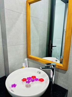 Shower, hair dryer, slippers, bidet