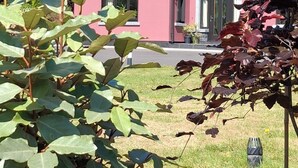 A two-story pink house with a large window and a door, surrounded by green foliage and grass. - Bed & Breakfast, Stoneywood Haven in Galway, Clarinbridge (Galway, Clarinbridge)