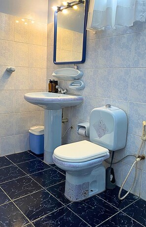 Sèche-cheveux, bidet, serviettes fournies, papier toilette