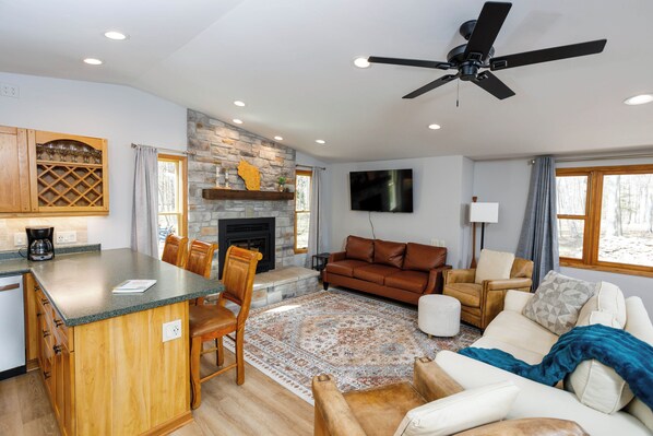 Smart TV, fireplace, books