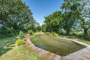 Un étang doté d’une terrasse en bois, entouré d’arbres et de verdure.