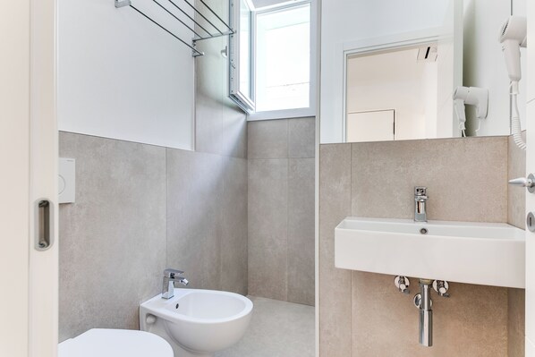 Shower, hair dryer, bidet, towels