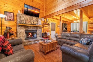 Televisión, chimenea y reproductor de DVD