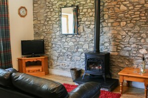 TV, fireplace, DVD player