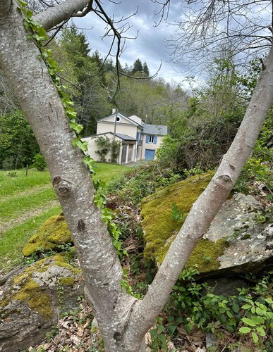 "Le Moulin de Camelière" 
Retour aux sources dans la Montagne Noire