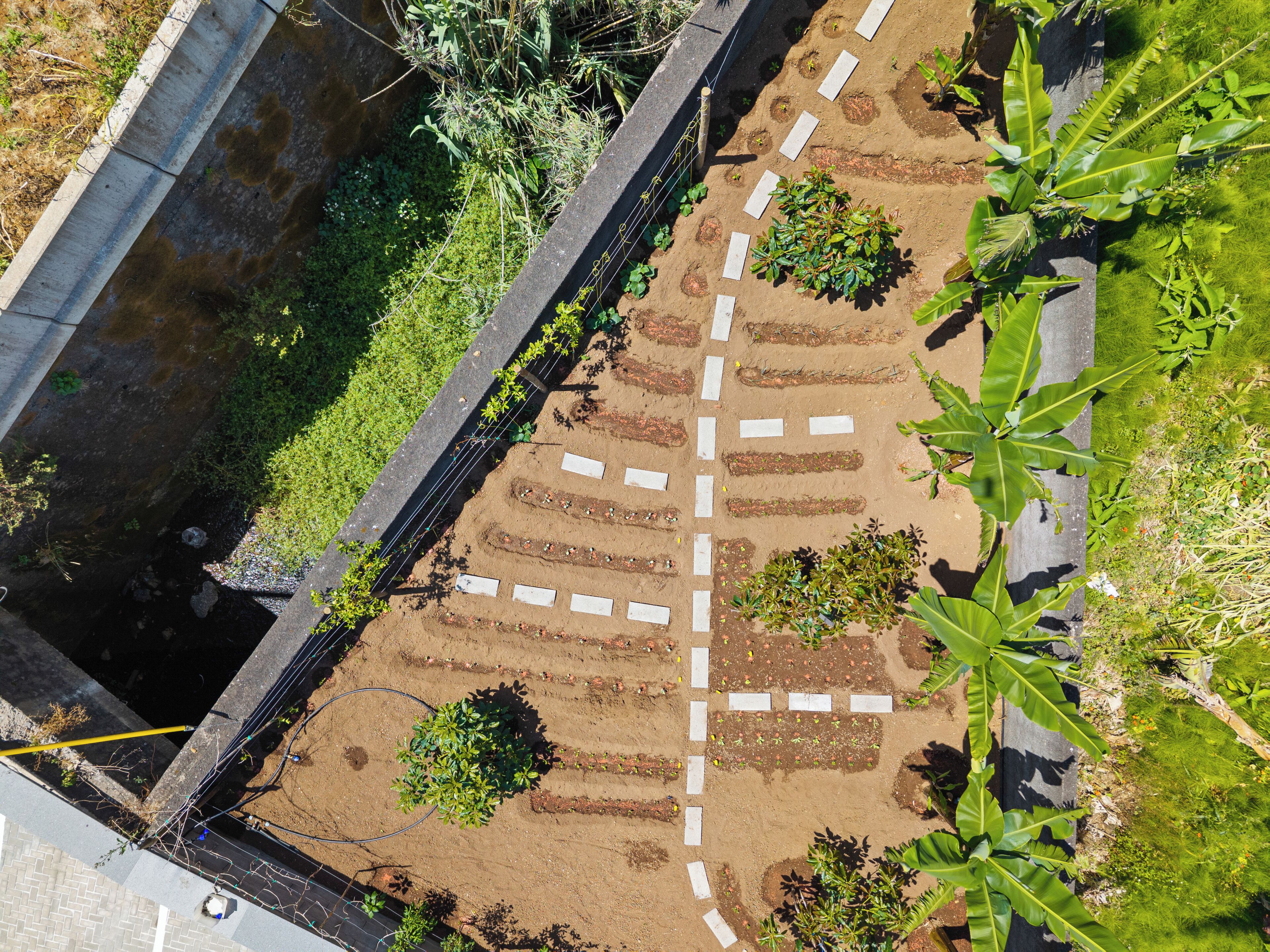 Vista aérea de un jardín en la azotea con jardineras elevadas y diversas plantas.