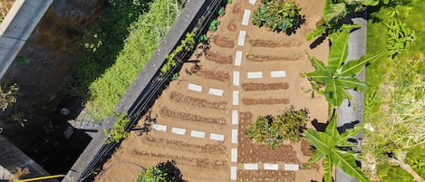 Vista aérea de un jardín en la azotea con jardineras elevadas y diversas plantas.