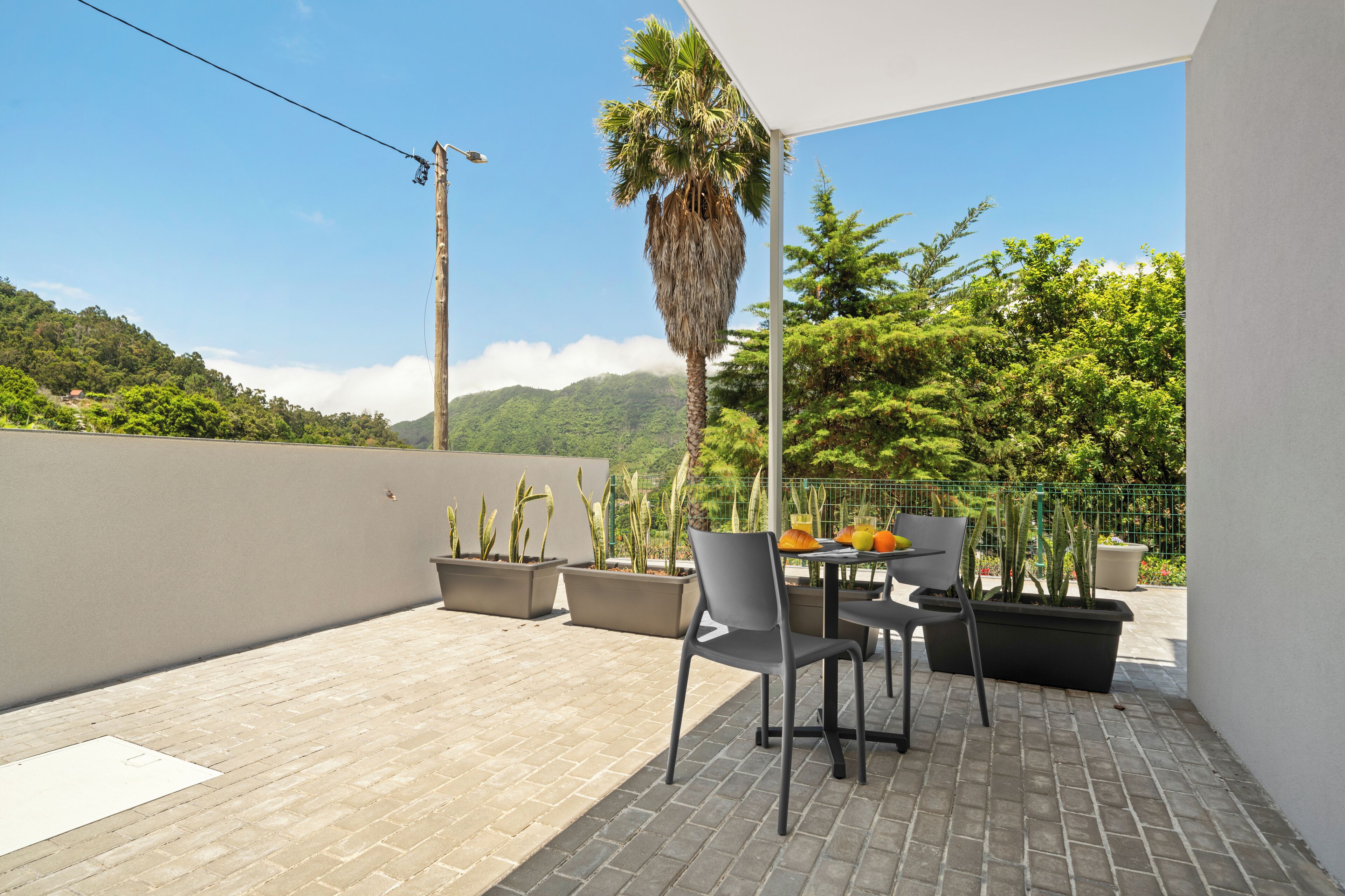 Une terrasse extérieure avec une table et des chaises, entourée de plantes en pot et offrant une vue sur un paysage montagneux.