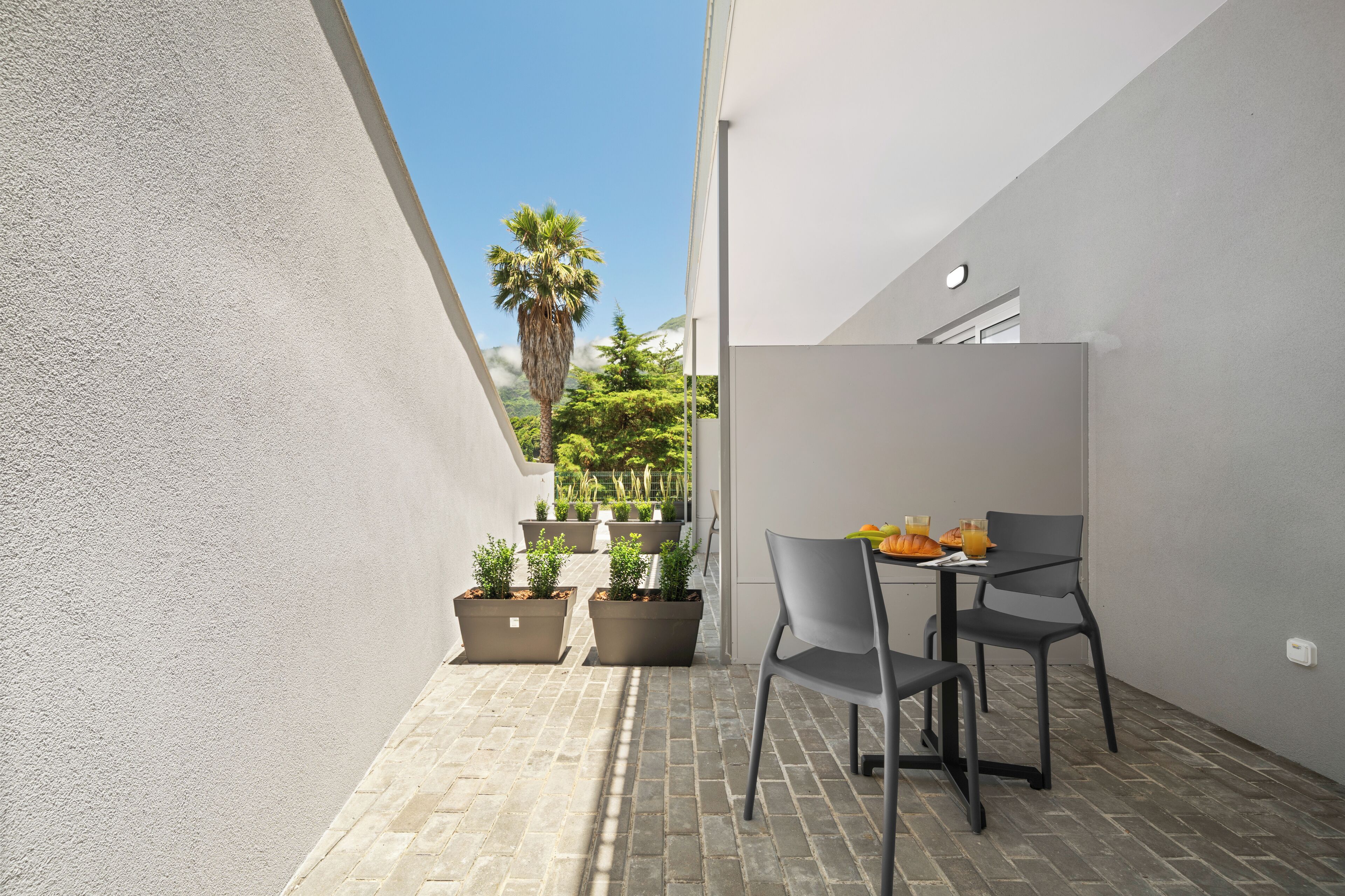 A modern outdoor patio with a table and chairs, potted plants, and a view of greenery and a palm tree.