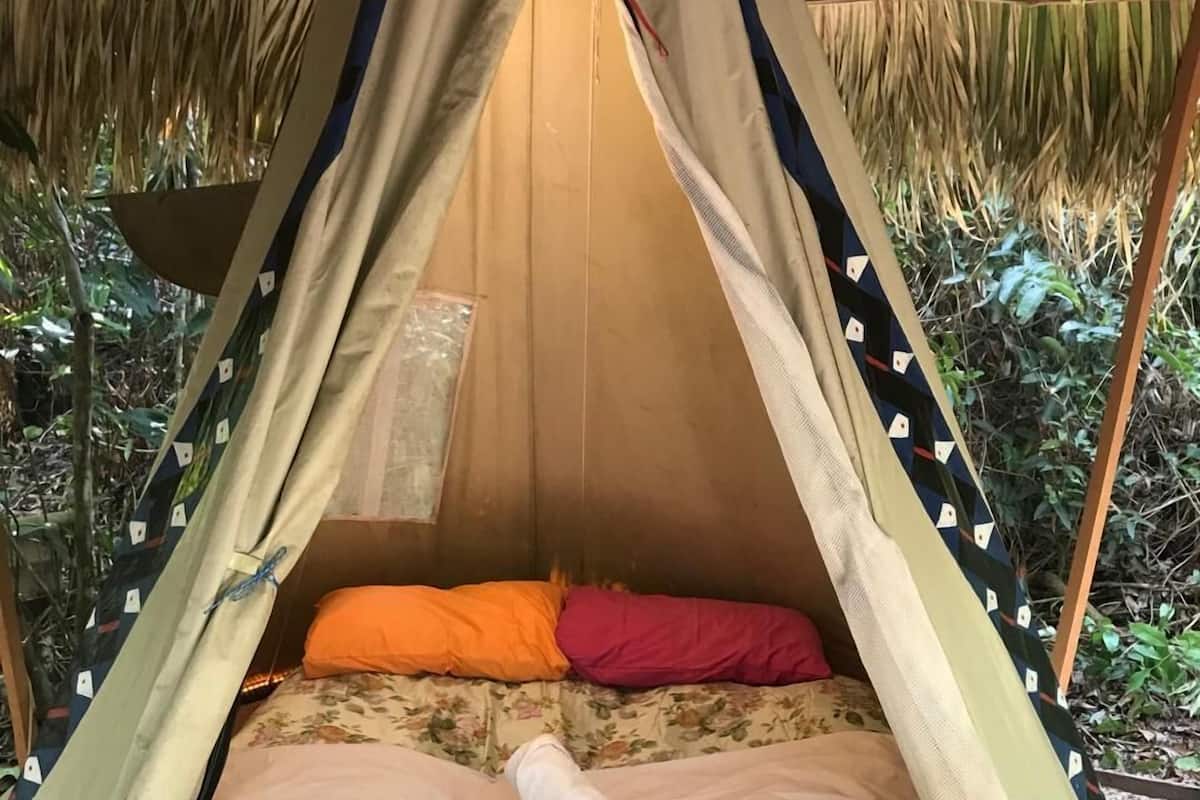 Une tente avec un lit à l’intérieur, entourée d’un toit de chaume et de verdure.