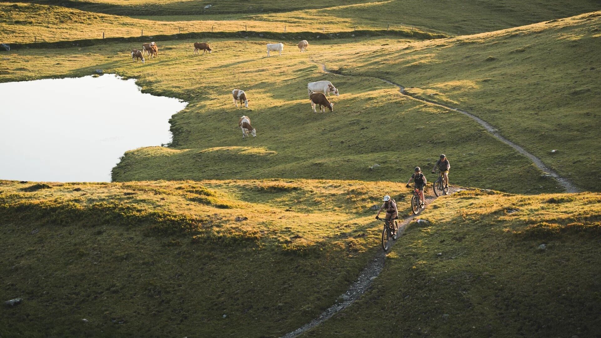 Ett kuperat landskap med en damm och en grusväg.