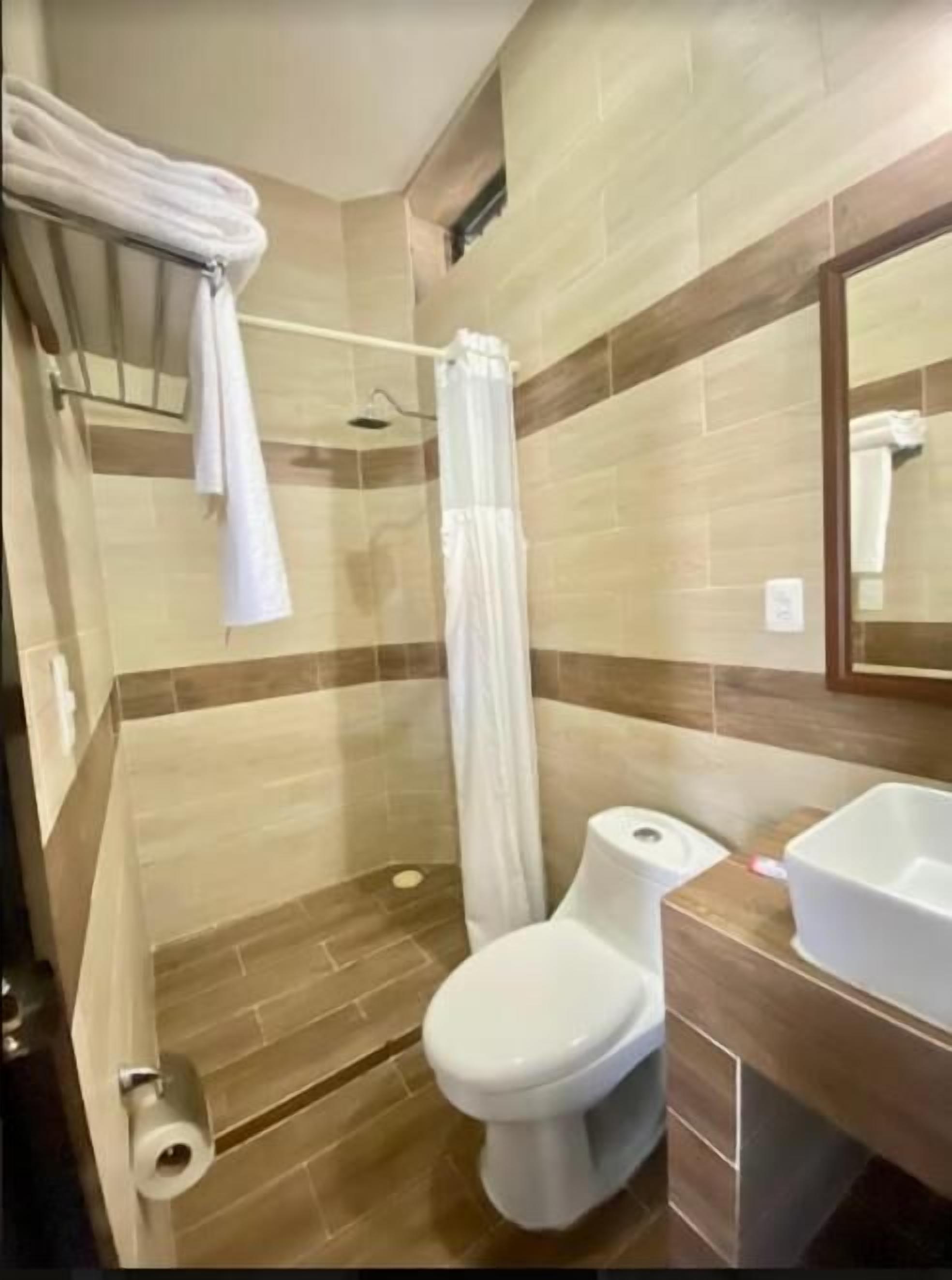 Une salle de bain avec douche, toilettes et lavabo.