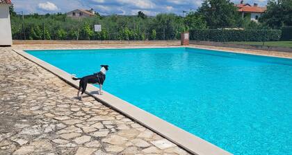 La Peppina - Charming apartment with large terrace near Porec and the sea + pool