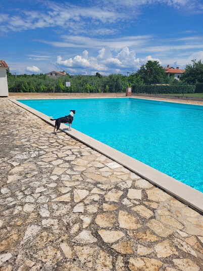 La Peppina - Charming apartment with large terrace near Porec and the sea + pool