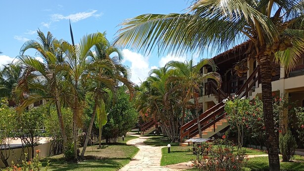 A stone pathway leading to a building with a staircase and palm trees.