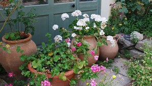 En have med plantekasser og blomster foran en bygning med grønne vinduer og en dør.