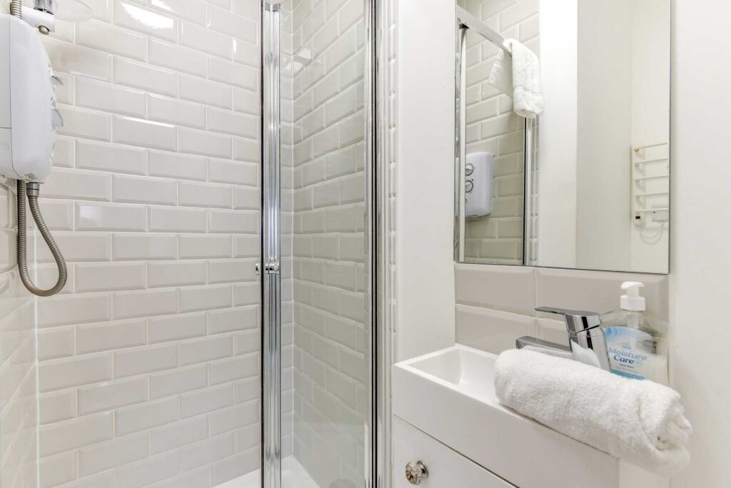 Shower, towels, toilet paper