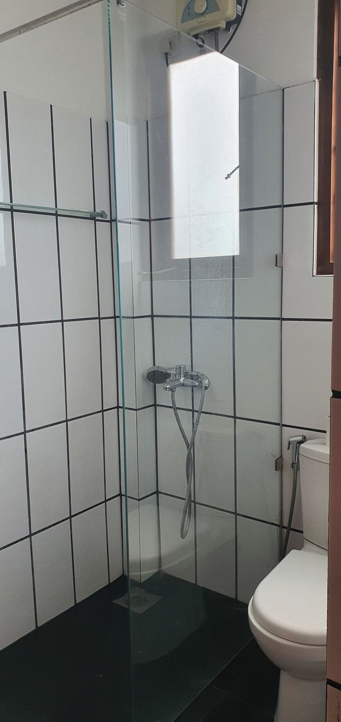 A bathroom with a glass shower enclosure, a white toilet, and a visible showerhead.