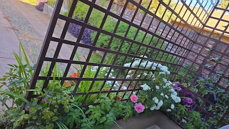 Jardín
