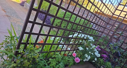 Flower Lane Guesthouse