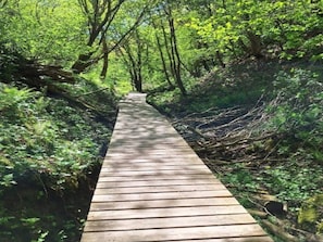 A wooden boardwalk through a forested area. - 7 Person Holiday Home in Vaeggerlose (Vaeggerlose)