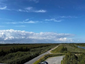 Un camino rural serpentea por un paisaje con vegetación densa a ambos lados.