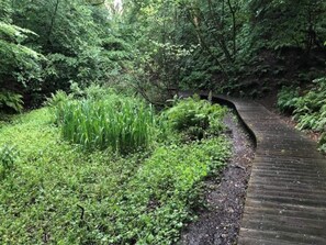 A curved wooden pathway through a lush green forest. - 7 Person Holiday Home in Vaeggerlose (Vaeggerlose)