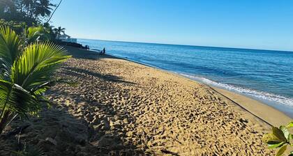 Serenity Sanctuary- 2-bedroom apartment with WiFi in Rincón