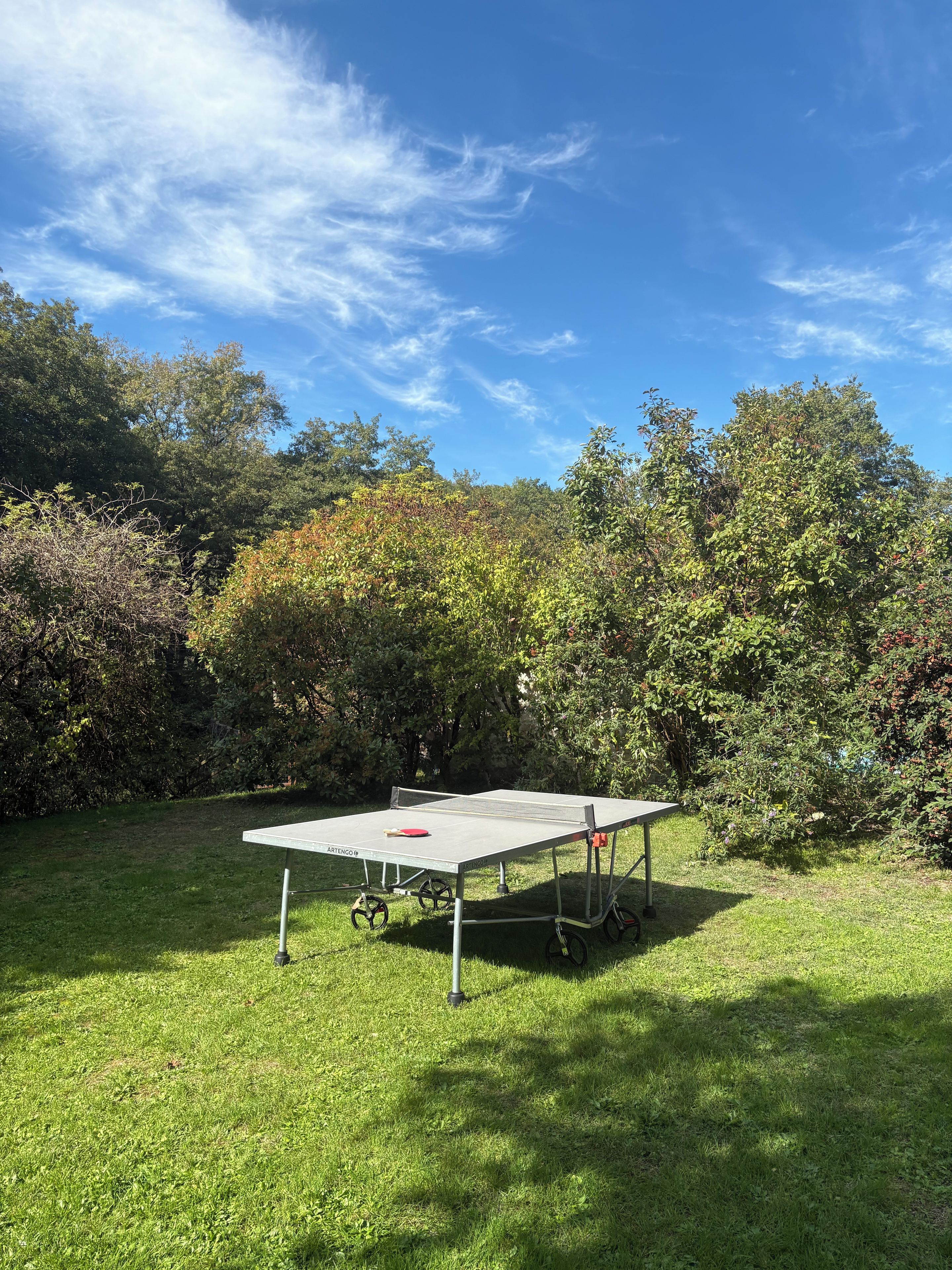 Une table de ping-pong se trouve dans un espace extérieur verdoyant, avec des arbres en arrière-plan.