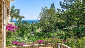 Property grounds - Palma House - Beautiful Property located at Wategos Beach (Byron Bay)