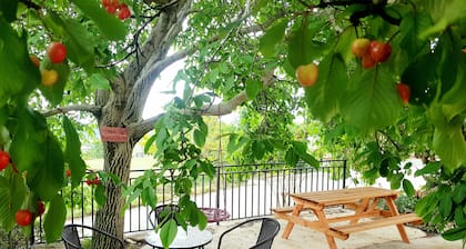 Rural lodging in Navarre, near the Urederra, Urbasa and Estella-Lizarra rivers