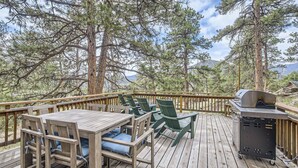 Eine Terrasse mit Tisch, Stühlen, einem Grill und Blick auf hohe Kiefern.