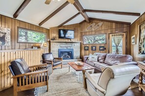Smart TV, fireplace, books