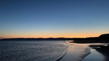 Vissen