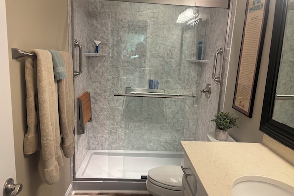Hair dryer, towels, soap, toilet paper