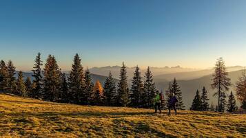 Chalet | Blick von der Unterkunft