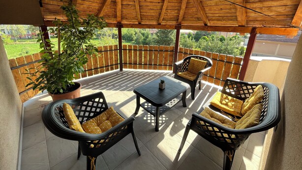 Un patio techado con mobiliario de madera y una planta en maceta.