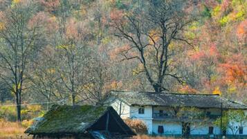 A rustic house with a sloped roof, surrounded by a field and trees with autumn foliage.