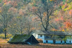 Una casa rústica con techo inclinado, rodeada por un campo y árboles con follaje otoñal.