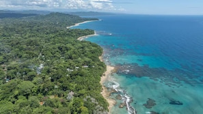 Beach - Beachfront Home in Punta Uva - A/C & Starlink (Puerto Viejo de Talamanca)