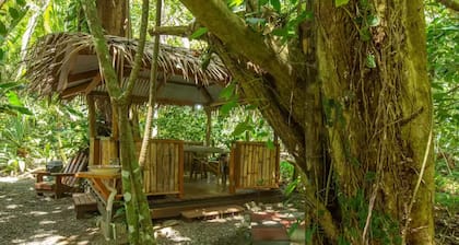 Beachfront Villa in Punta Uva - Air Conditioned