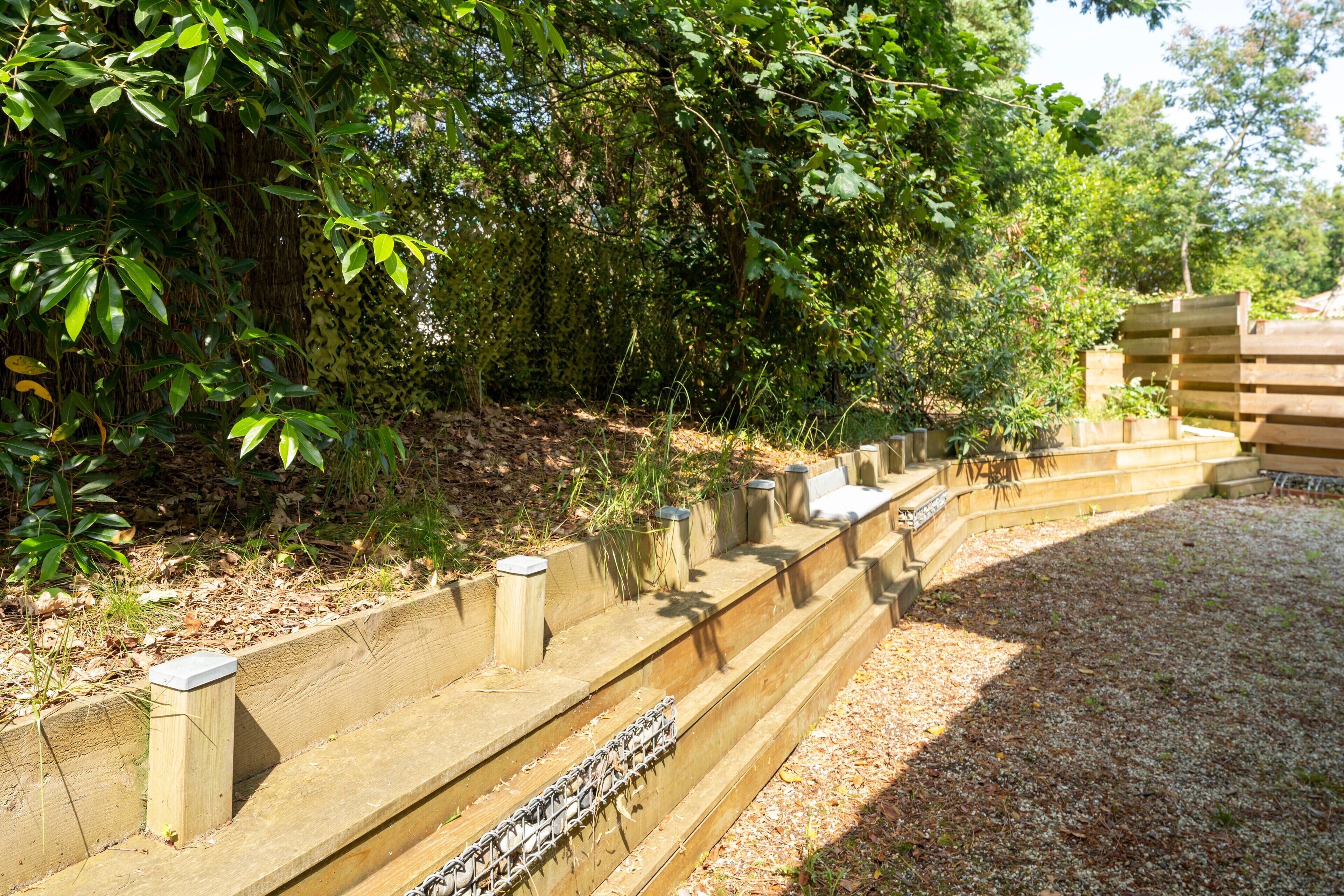 A wooden staircase leading up to a wooden deck surrounded by dense foliage.