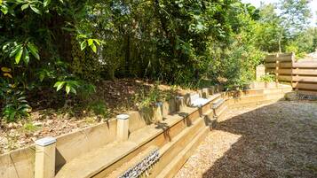 A wooden staircase leading up to a wooden deck surrounded by dense foliage.