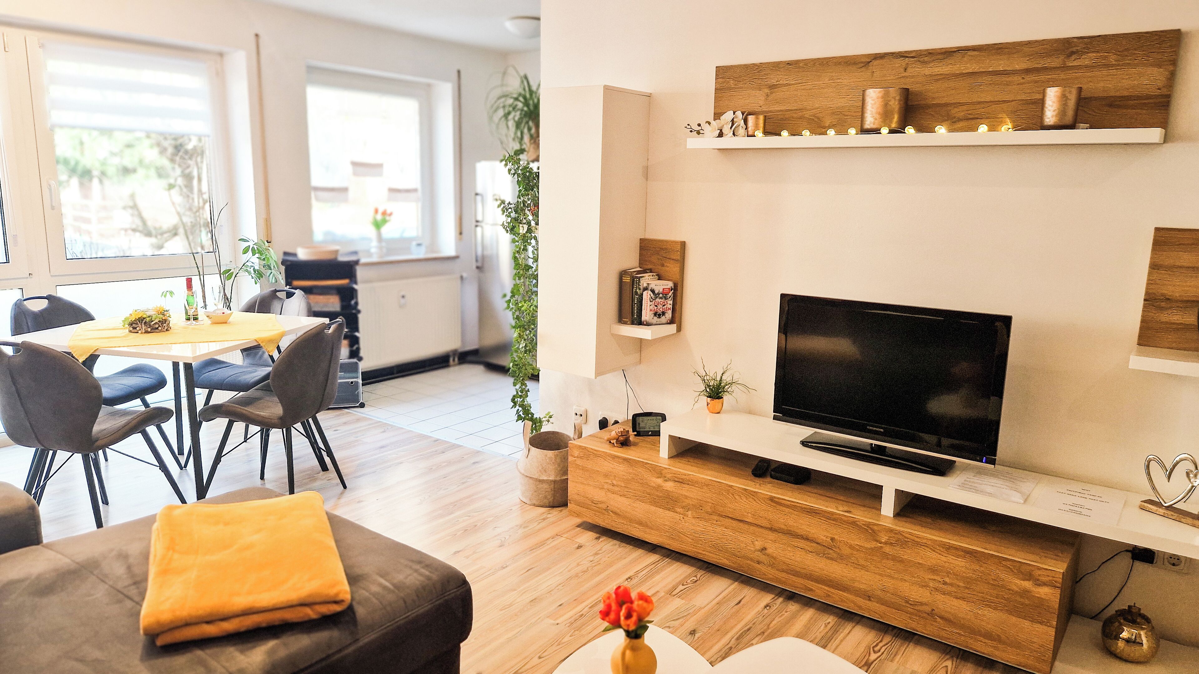 Smart TV, books