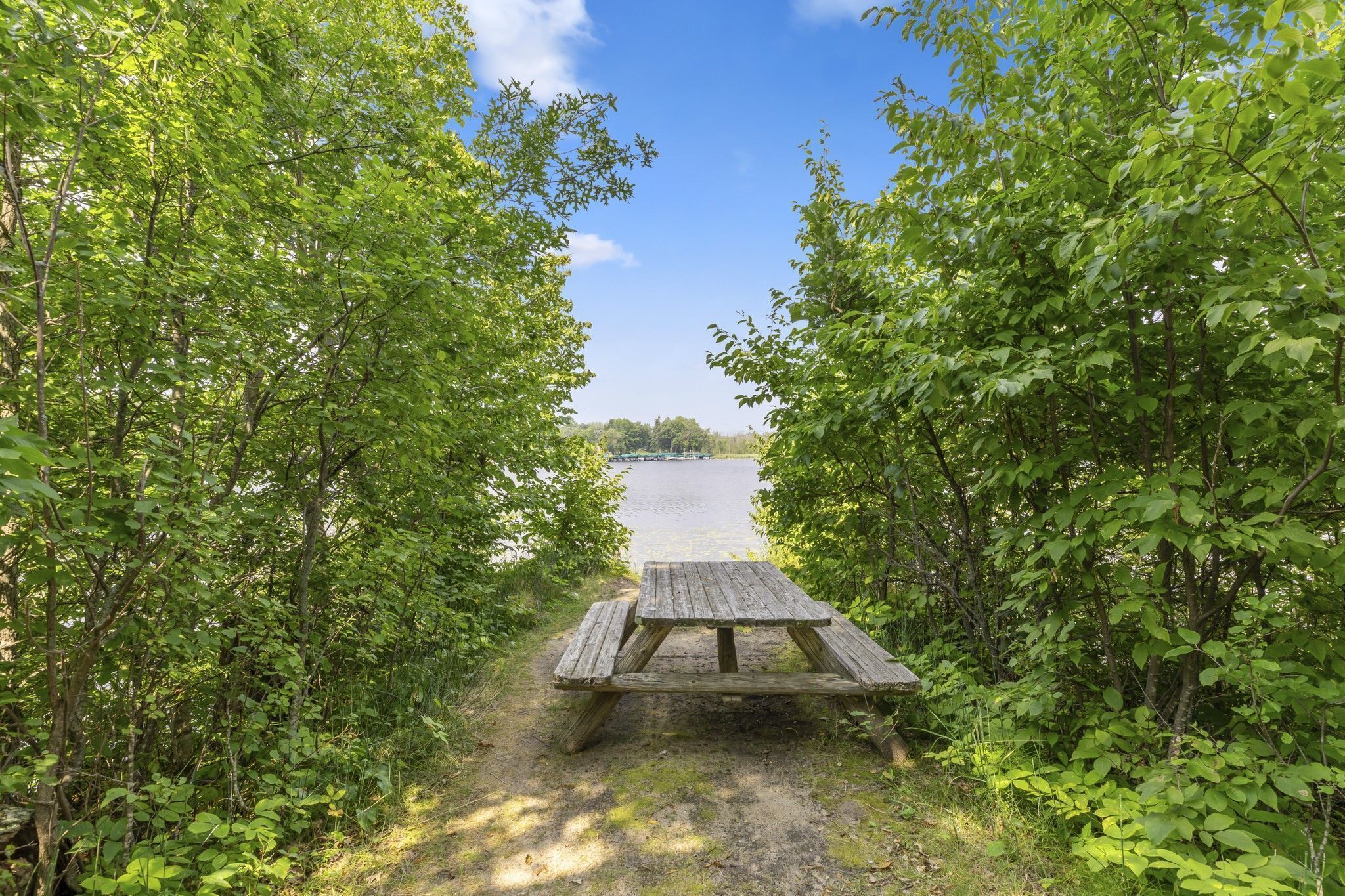 A wooden picnic table surrounded by dense green foliage, leading to a body of water.