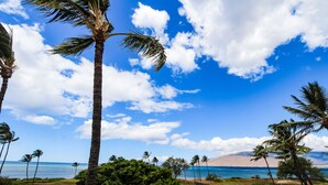 A beach view with palm trees, a tennis court, and a mountain in the background.