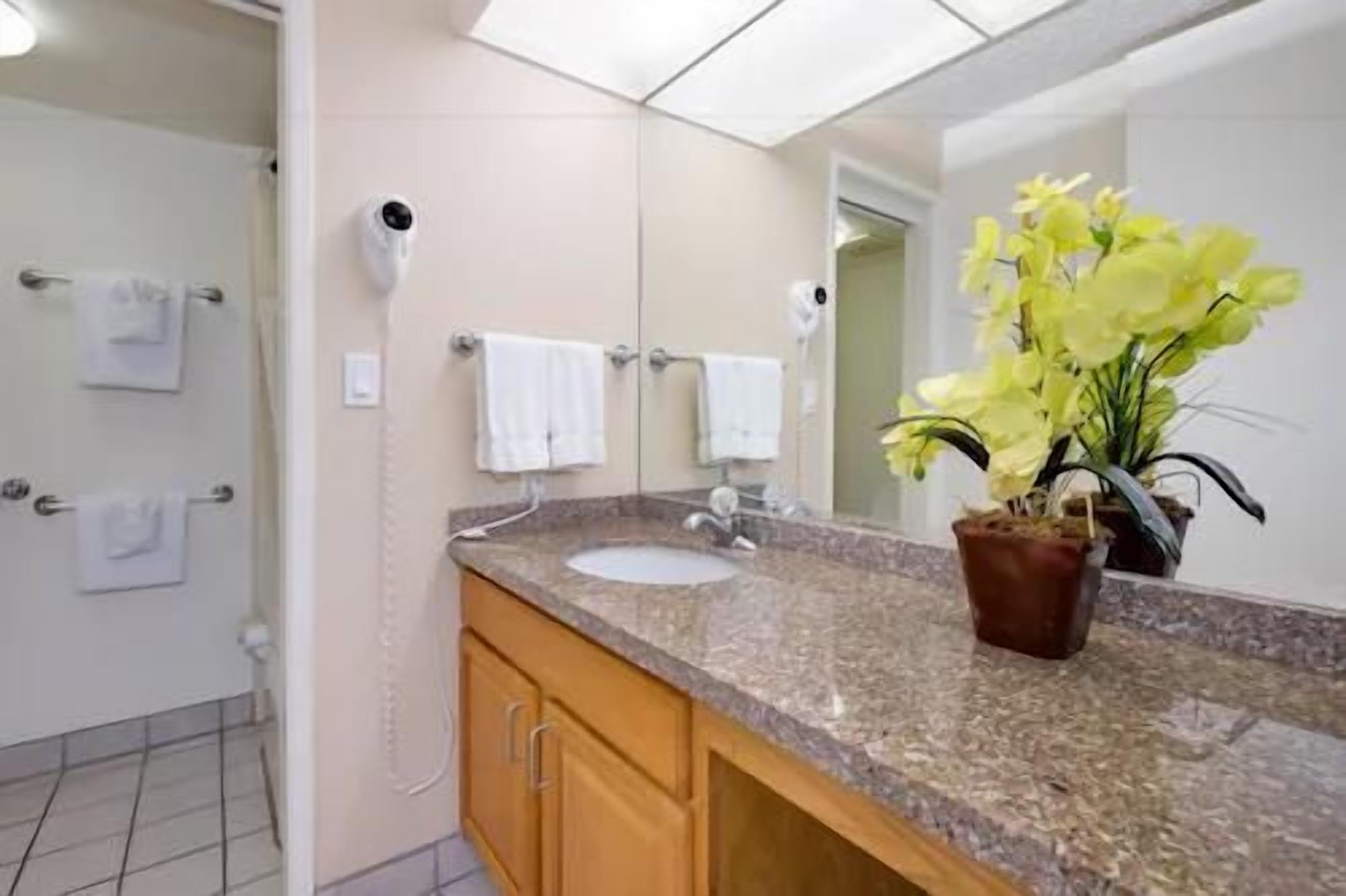 A bathroom with a sink, mirror, and a potted plant.