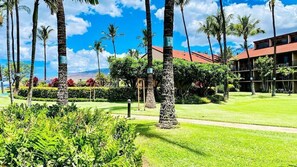 Property grounds - 1BR Oceanview Condo w/ Pool & Balcony in Kihei (Kihei)