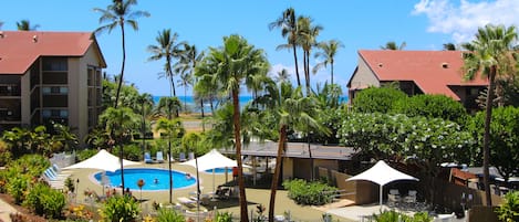 A resort with a swimming pool, palm trees, and a view of the ocean.